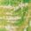 Color Swatch - Lush Green Multi
