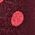 Color Swatch - Red