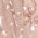 Color Swatch - Rose