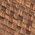 Color Swatch - Brown