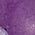 Color Swatch - Purple