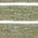 Color Swatch - Green