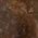 Color Swatch - Brown