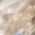 Color Swatch - Gold