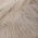 Color Swatch - Ivory