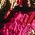Color Swatch - Fuchsia Multi