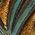 Color Swatch - Turquoise