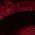 Color Swatch - Red