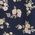 Color Swatch - Blue