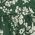 Color Swatch - Green