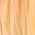 Color Swatch - Orange