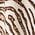 Color Swatch - Brown