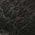 Color Swatch - Black Multi