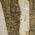 Color Swatch - Farm Olive