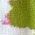 Color Swatch - Green