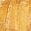 Color Swatch - Gold