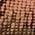 Color Swatch - Gold