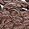 Color Swatch - Brown