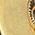Color Swatch - Gold
