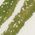 Color Swatch - Green