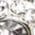 Color Swatch - Silver