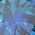 Color Swatch - Blue