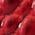 Color Swatch - Red