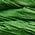 Color Swatch - Green Multi