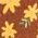 Color Swatch - Brown