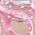 Color Swatch - Pink