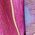 Color Swatch - Floral