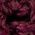 Color Swatch - Red