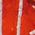 Color Swatch - Multi