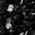 Color Swatch - Black