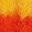 Color Swatch - Rainbow