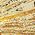 Color Swatch - Gold
