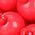 Color Swatch - Red