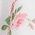 Color Swatch - Floral