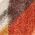 Color Swatch - Orange