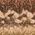 Color Swatch - Brown