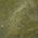 Color Swatch - Green