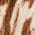 Color Swatch - Speckled Cow Print