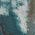 Color Swatch - Floral