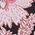 Color Swatch - Floral