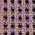 Color Swatch - Sunset Purple/Dark Umber/Warm Taupe/French Almond/