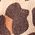 Color Swatch - Animal
