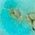 Color Swatch - Blue