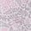 Color Swatch - Soft Medallion