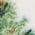 Color Swatch - Green