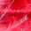 Color Swatch - Red